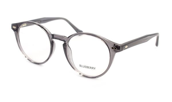 Чоловічі окуляри Blueberry 1060-C4 оправа пластик
