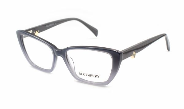 Жіночі окуляри Blueberry 23046-C4 оправа пластик