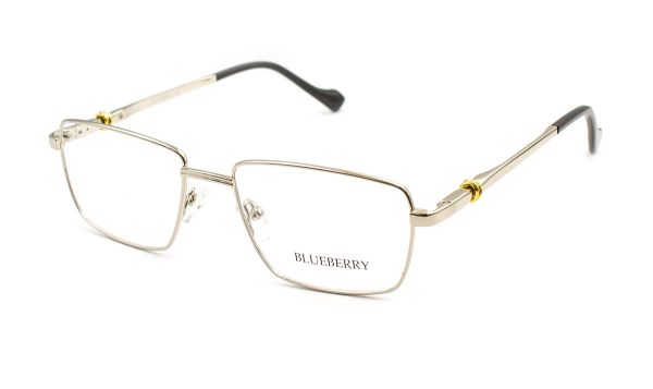 Чоловічі окуляри Blueberry 30040-C9 оправа метал