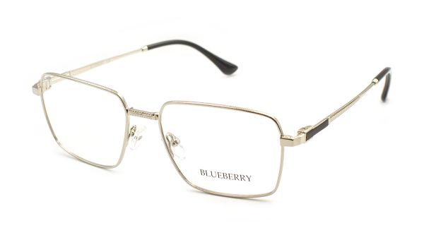 Чоловічі окуляри Blueberry 40045-C9 оправа метал