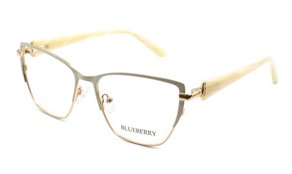 Жіночі окуляри Blueberry 6455-C4 оправа метал