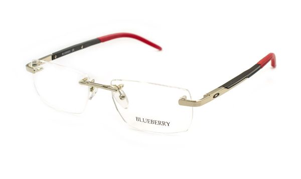 Чоловічі окуляри Blueberry 6477-4-C9 оправа метал