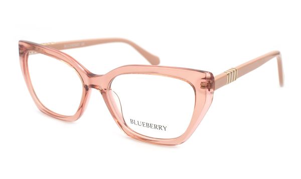 Жіночі окуляри Blueberry Оправа пластикова Blueberry 6481-C3 оправа пластик