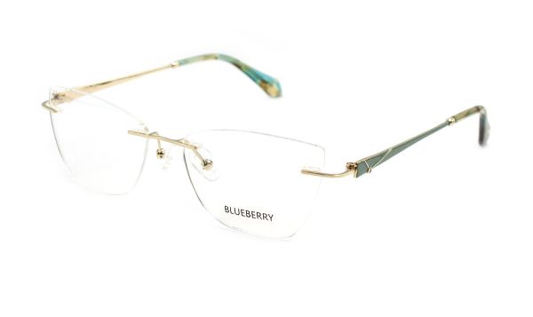 Жіночі окуляри Blueberry 6499-C5 оправа метал
