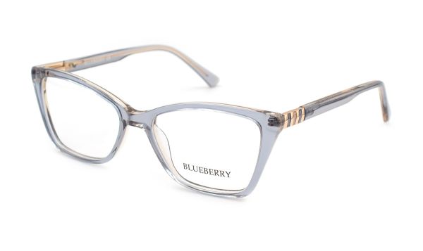Жіночі окуляри Blueberry 6581-C4 оправа пластик