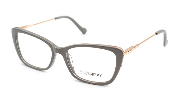 Жіночі окуляри Blueberry 8292-C5 оправа пластик комбінований