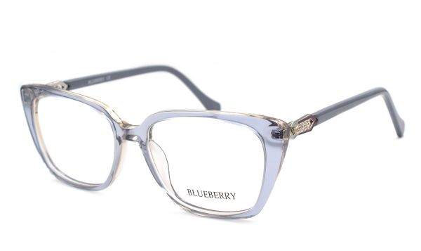 Жіночі окуляри Blueberry 8311-C5 оправа пластик