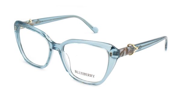 Жіночі окуляри Blueberry 8442-C5 оправа пластик