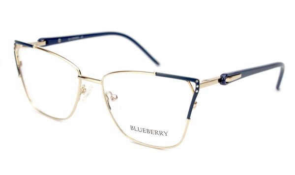 Жіночі окуляри Blueberry Оправа металева Blueberry Ana1094-C5 оправа метал