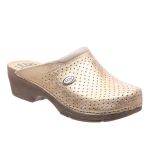 Сабо анатомічні (професійні) LEDI Anatomic 500