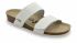 Шльопанці ортопедичні жіночі Malta, Grubin (арт. gr-59365)