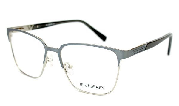Жіночі окуляри Blueberry Оправа металева Blueberry XC61074-C5 оправа метал