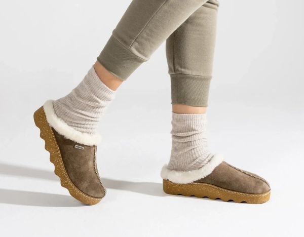 Жіночі сабо Foggia-D коричневий (арт. 6125 77), ROHDE (Німеччина)